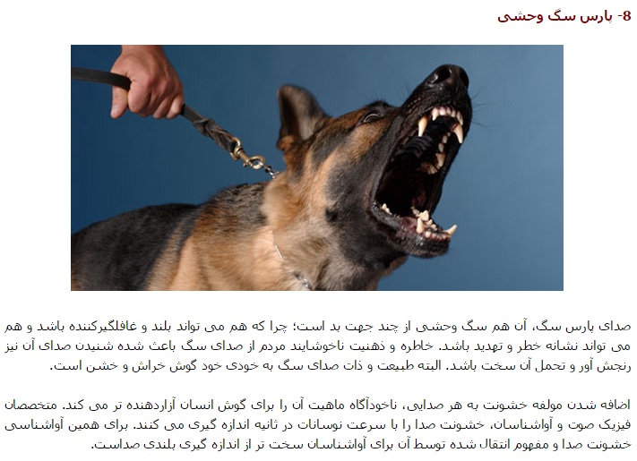 vicious barking the 9 most annoying sounds and why they bother us page 2 of 9 newsoholic vicious barking the 9 most annoying sounds and why they bother us page 2 of 9 newsoholic